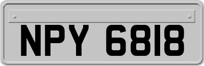 NPY6818