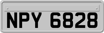 NPY6828