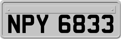 NPY6833