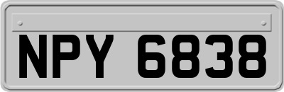 NPY6838