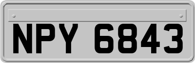 NPY6843