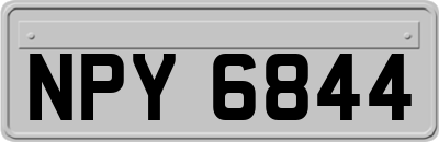 NPY6844