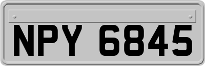 NPY6845
