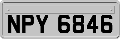 NPY6846