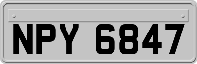 NPY6847