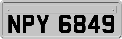 NPY6849