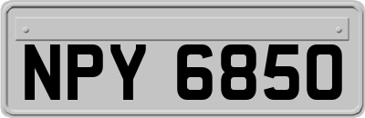 NPY6850
