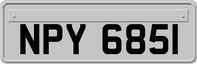 NPY6851