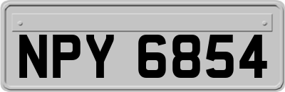 NPY6854
