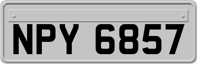 NPY6857