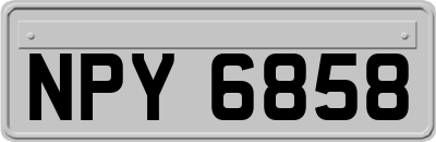 NPY6858