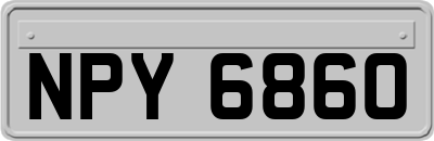 NPY6860
