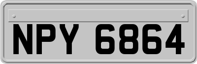 NPY6864