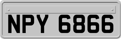 NPY6866