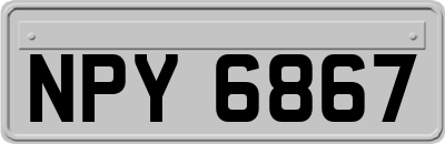 NPY6867