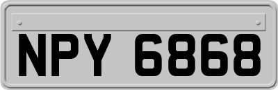 NPY6868