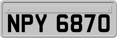 NPY6870