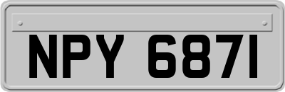 NPY6871