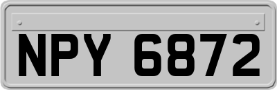 NPY6872