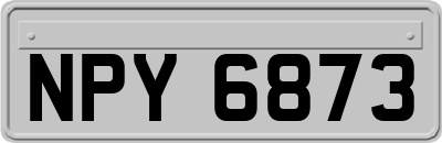 NPY6873
