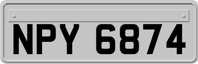 NPY6874