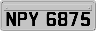NPY6875