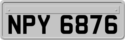 NPY6876