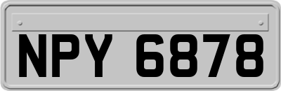 NPY6878