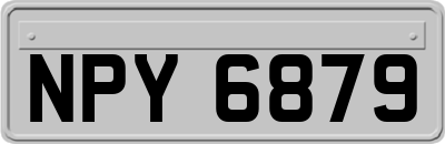 NPY6879