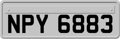 NPY6883