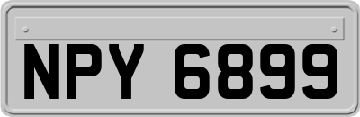 NPY6899