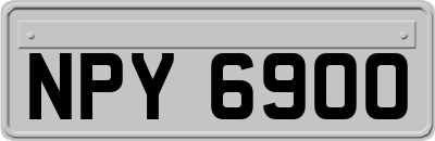 NPY6900