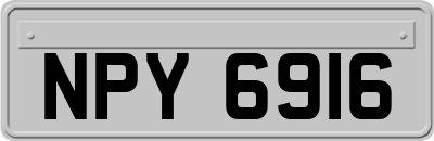 NPY6916
