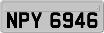 NPY6946