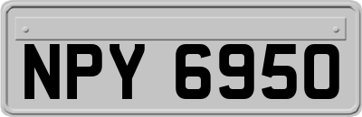 NPY6950