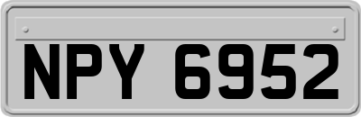 NPY6952