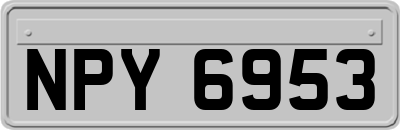 NPY6953