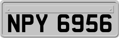 NPY6956
