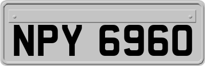 NPY6960