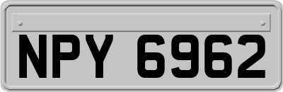 NPY6962