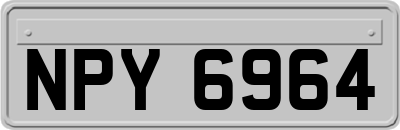 NPY6964