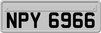 NPY6966