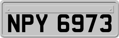 NPY6973