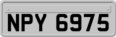 NPY6975