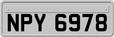 NPY6978