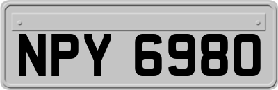 NPY6980