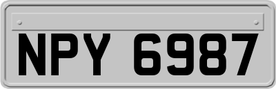 NPY6987