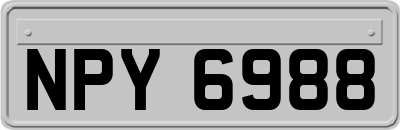 NPY6988