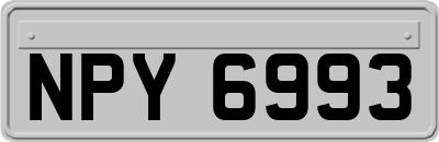 NPY6993
