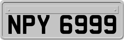 NPY6999
